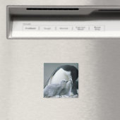 Chinstrap Penguins, Pygoscelis antarctica), Magnet (In Situ (Geschirrspüler))