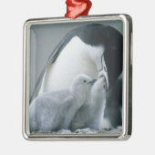 Chinstrap Penguins, Pygoscelis antarctica), Ornament Aus Metall (Links)