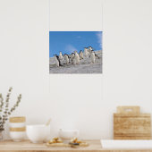 chinstrap penguins, Pygoscelis antarctica, Poster (Küche)