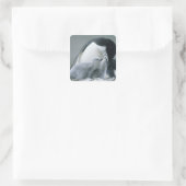 Chinstrap Penguins, Pygoscelis antarctica), Quadratischer Aufkleber (Tasche)