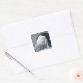 Chinstrap Penguins, Pygoscelis antarctica), Quadratischer Aufkleber (Umschlag)