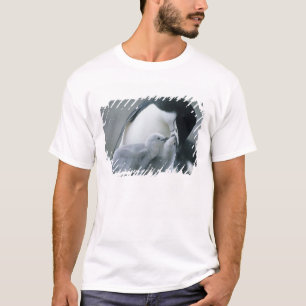 Chinstrap Penguins, Pygoscelis antarctica), T-Shirt