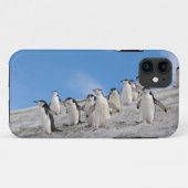 Chinstrap Penguins | Pygoscelis Antarktis Case-Mate iPhone Hülle (Rückseite (Horizontal))