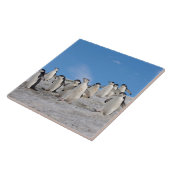 Chinstrap Penguins | Pygoscelis Antarktis Fliese (Seite)