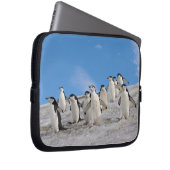 Chinstrap Penguins | Pygoscelis Antarktis Laptopschutzhülle (Vorne Rechts)