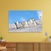 Chinstrap Penguins | Pygoscelis Antarktis Leinwanddruck (Insitu (Wohnzimmer))