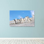 Chinstrap Penguins | Pygoscelis Antarktis Leinwanddruck (Insitu (Holzboden))