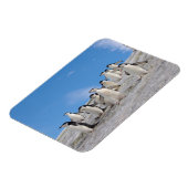 Chinstrap Penguins | Pygoscelis Antarktis Magnet (Linke Seite)