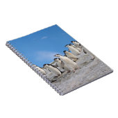Chinstrap Penguins | Pygoscelis Antarktis Notizblock (Rechte Seite)