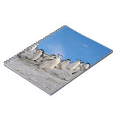 Chinstrap Penguins | Pygoscelis Antarktis Notizblock (Linke Seite)