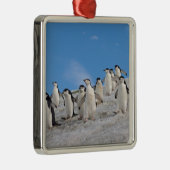 Chinstrap Penguins | Pygoscelis Antarktis Ornament Aus Metall (Rechts)