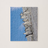 Chinstrap Penguins | Pygoscelis Antarktis Puzzle (Vertikal)