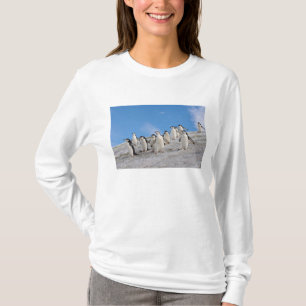 Chinstrap Penguins   Pygoscelis Antarktis T-Shirt