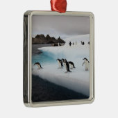 Chinstrap Penguins Silbernes Ornament (Rechts)