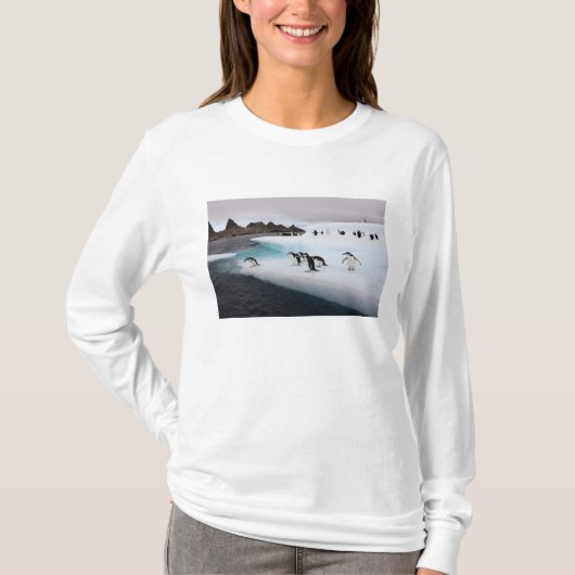 Chinstrap Penguins T-Shirt (Vorderseite)