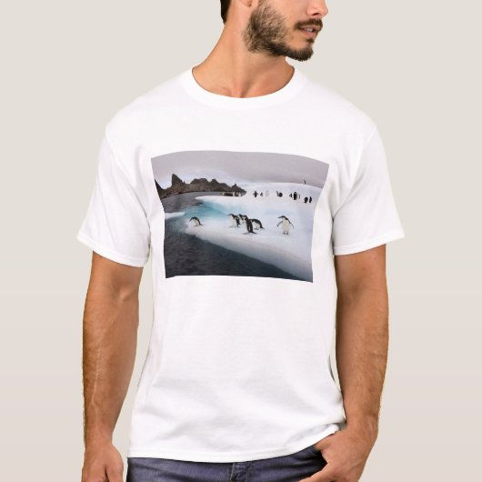 Chinstrap Penguins T-Shirt (Vorderseite)