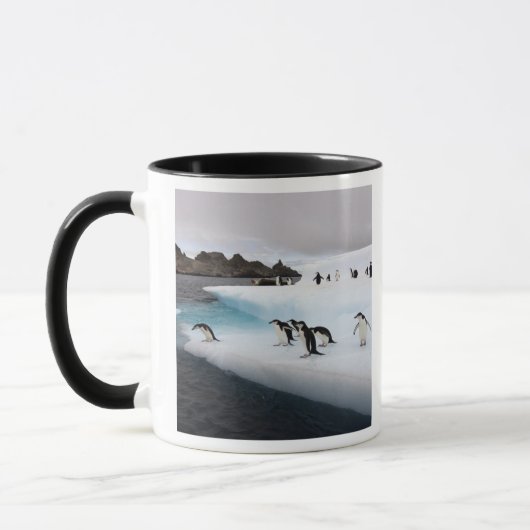 Chinstrap Penguins Tasse (Links)
