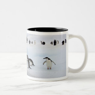 Chinstrap Penguins Zweifarbige Tasse