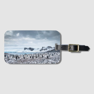 Chinstrap Pinguin-Kolonien-Landschaft Gepäckanhänger