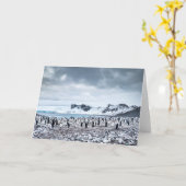 Chinstrap Pinguin-Kolonien-Landschaft Karte (Gelbe Blume)