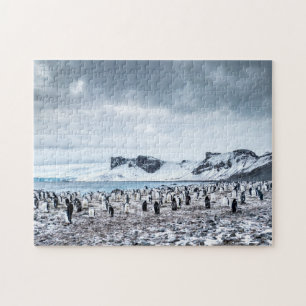 Chinstrap Pinguin-Kolonien-Landschaft Puzzle