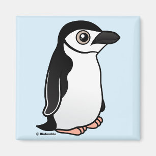 Chinstrap Pinguin Magnet