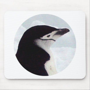 Chinstrap Pinguin-Porträt Mousepad