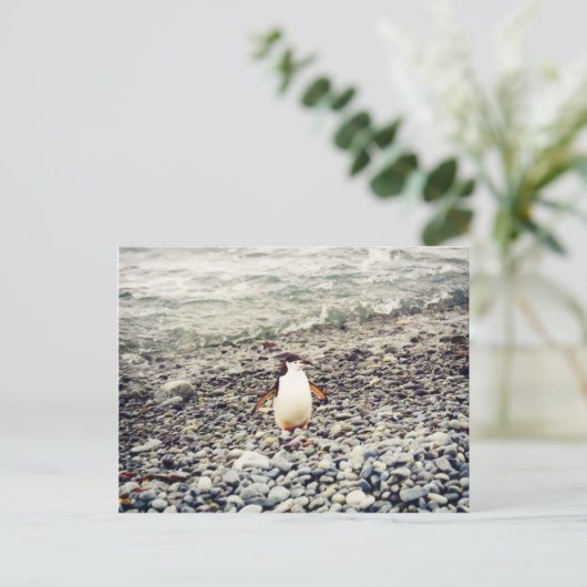 Chinstrap Pinguin, Postkarte (Stehend Vorderseite)