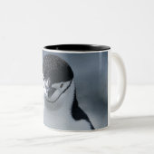 Chinstrap Pinguin Zweifarbige Tasse (VorderseiteRechts)