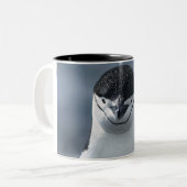 Chinstrap Pinguin Zweifarbige Tasse (Vorderseite Links)