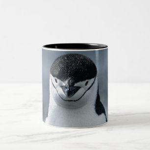 Chinstrap Pinguin Zweifarbige Tasse