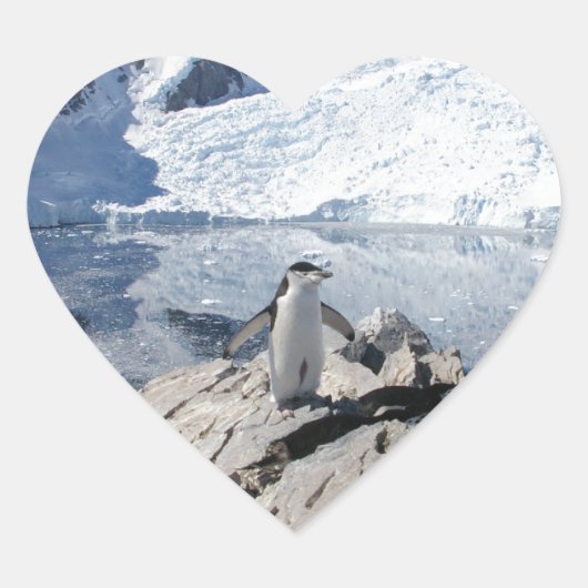Chinstrap Pinguine in der Antarktis Herz-Aufkleber (Vorderseite)