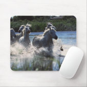 Chintoteague Ponies Crossing Channel Mousepad (Mit Mouse)