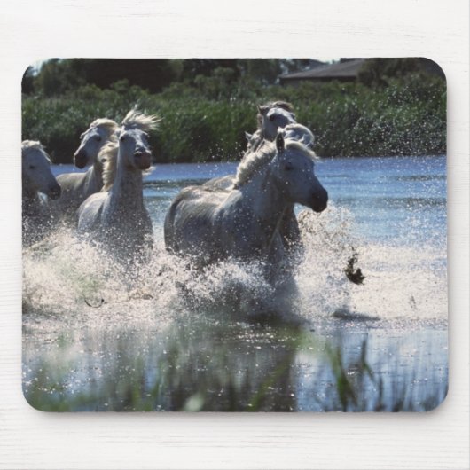 Chintoteague Ponies Crossing Channel Mousepad (Vorne)
