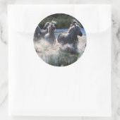 Chintoteague Ponies Crossing Channel Runder Aufkleber (Tasche)