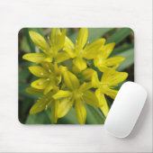 Chionodoxa Mousepad (Mit Mouse)