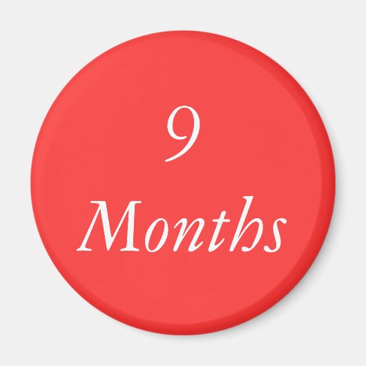 Chip für 9 Monate Magnet (Vorne)