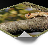 Chip oder Dale? Poster (Ecke)