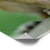 Chip Poster (Ecke)