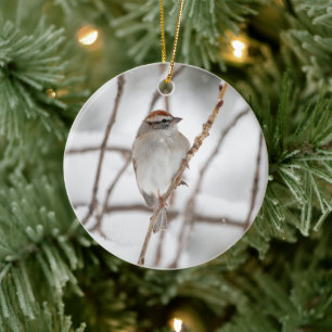 Chip-Spargel Keramik Ornament