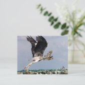 Chipheron Postkarte (Stehend Vorderseite)