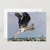 Chipheron Postkarte (Vorne/Hinten)