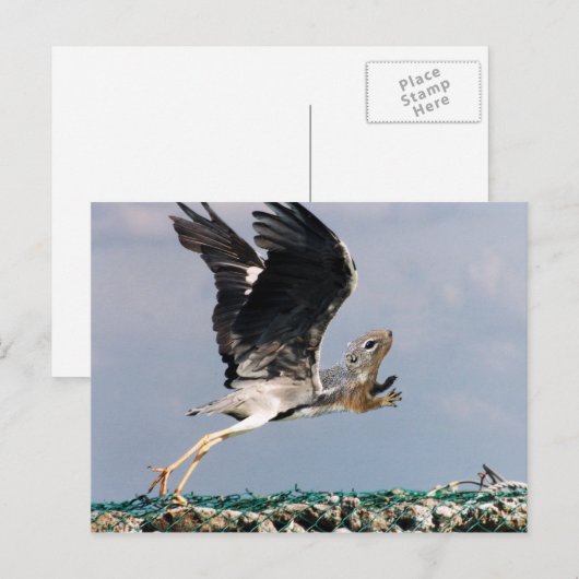 Chipheron Postkarte (Vorne/Hinten)