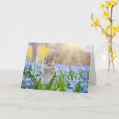 Chipkarte mit Blume Karte (Gelbe Blume)