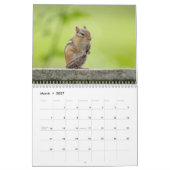 Chipkarten in den Adirondacks 2026 Kalender (Mär 2027)