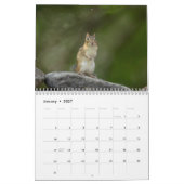 Chipkarten in den Adirondacks 2026 Kalender (Jan 2027)