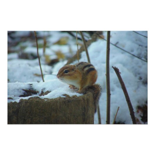 Chipmonk in Snow Poster (Vorderseite)