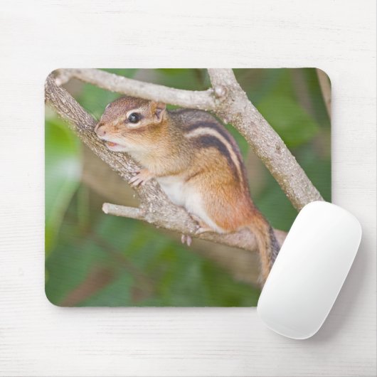 Chipmonk Mousepad (Mit Mouse)