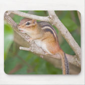 Chipmonk Mousepad (Vorne)