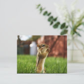 Chipmun Praying Postkarte (Stehend Vorderseite)
